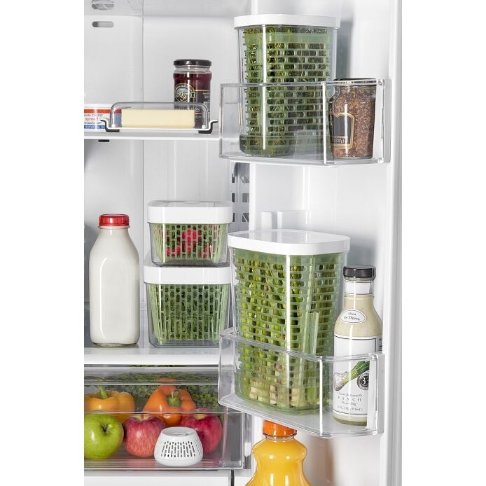 GreenSaver Standing Crisper Insert - 1 Pc L1