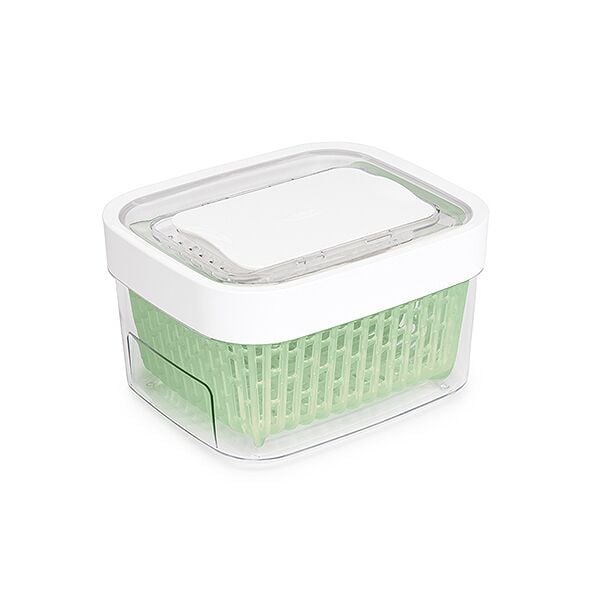 GreenSaver Produce Keeper (1.6 Qt) I4