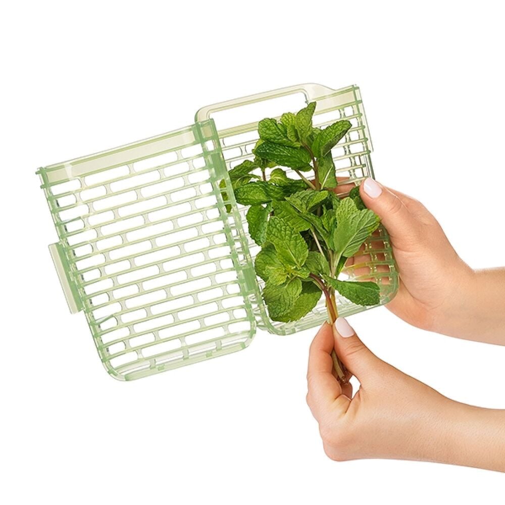 GreenSaver Herb Keeper - Small D9