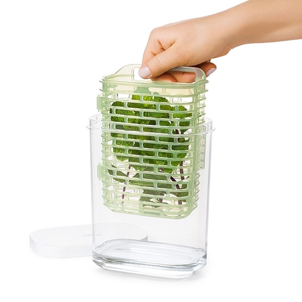 GreenSaver Herb Keeper - Small D9