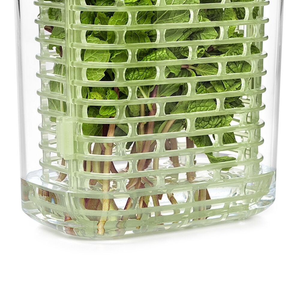 GreenSaver Herb Keeper - Small D9