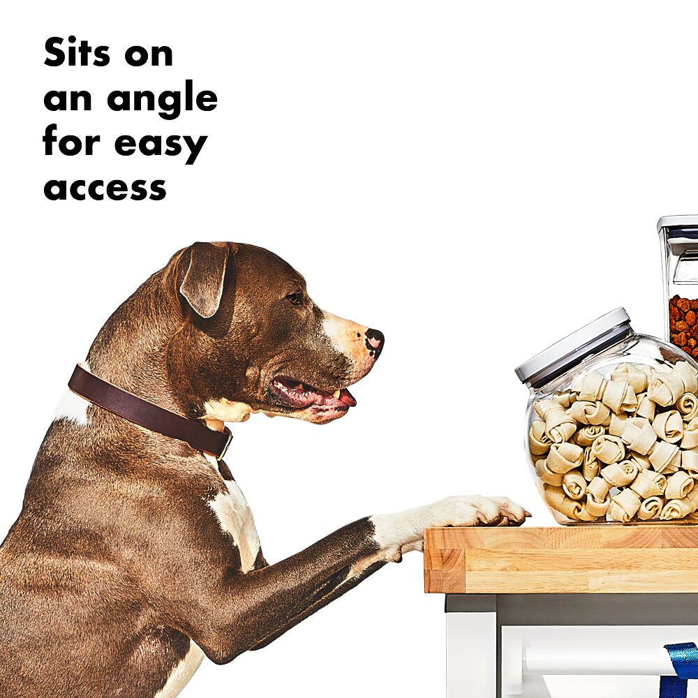 OXO Good Grips Pet POP Container – 3.0 Qt/2.8 L G7