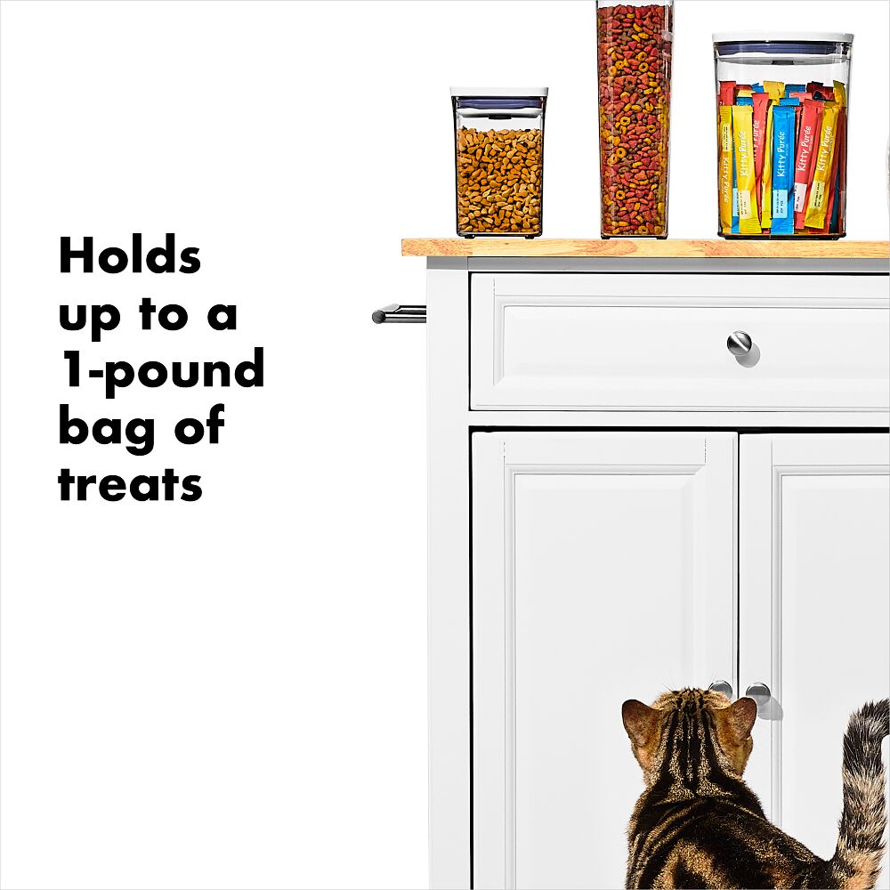 OXO Good Grips Pet POP Container – 1.1 Qt/1 L X5