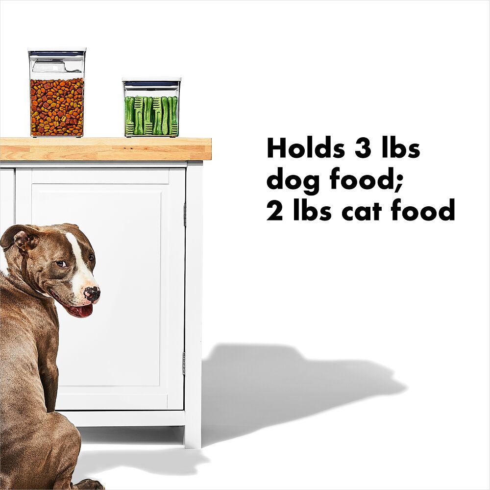 OXO Good Grips Pet POP Container – 2.8 Qt/2.6 L L5