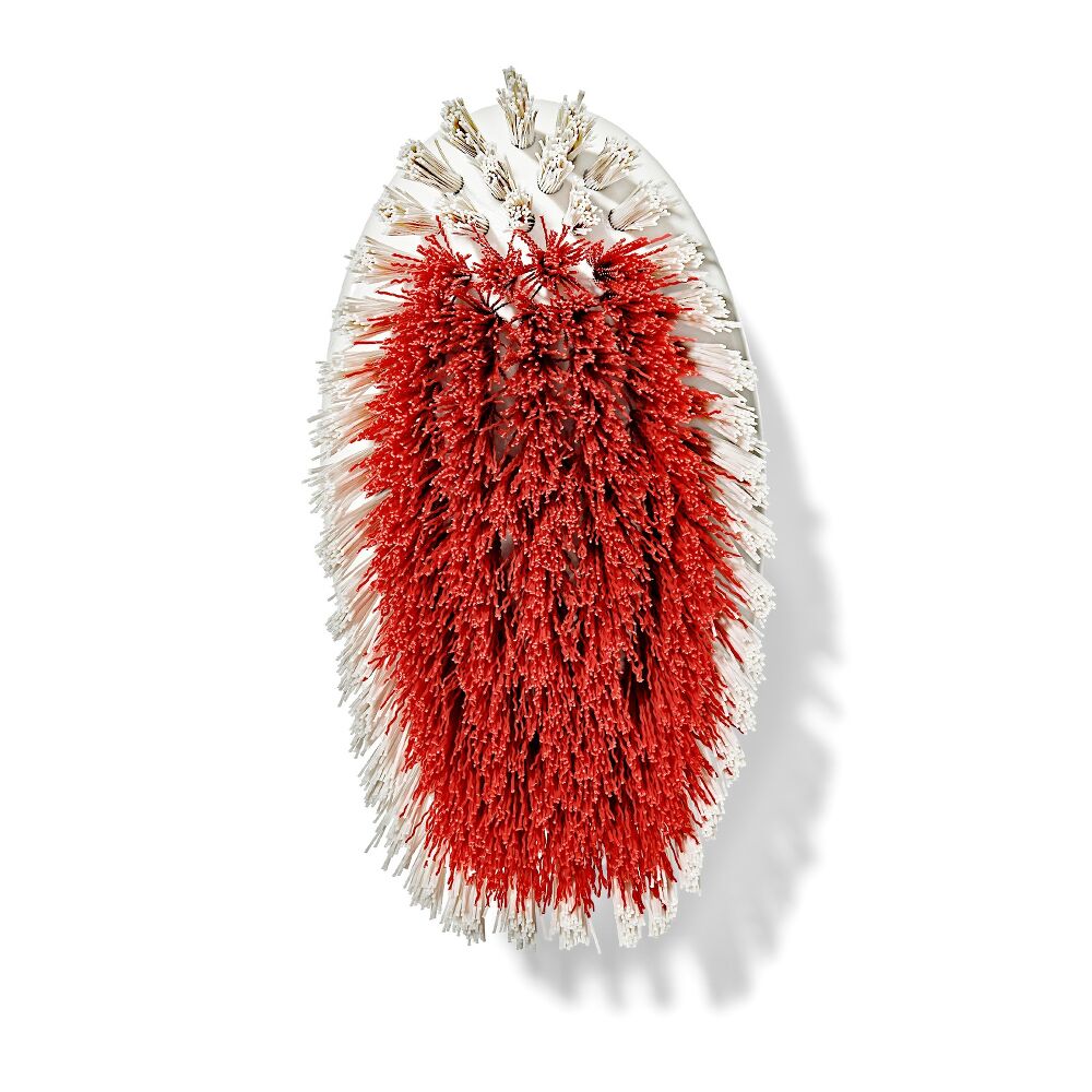 All-Purpose Scrub Brush 2-Pack G8