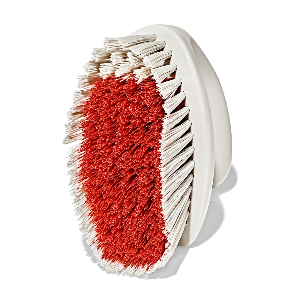 All-Purpose Scrub Brush 2-Pack G8