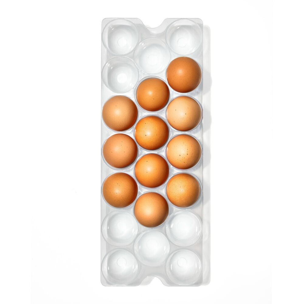 Refrigerator Egg Bin With Removable Tray J7