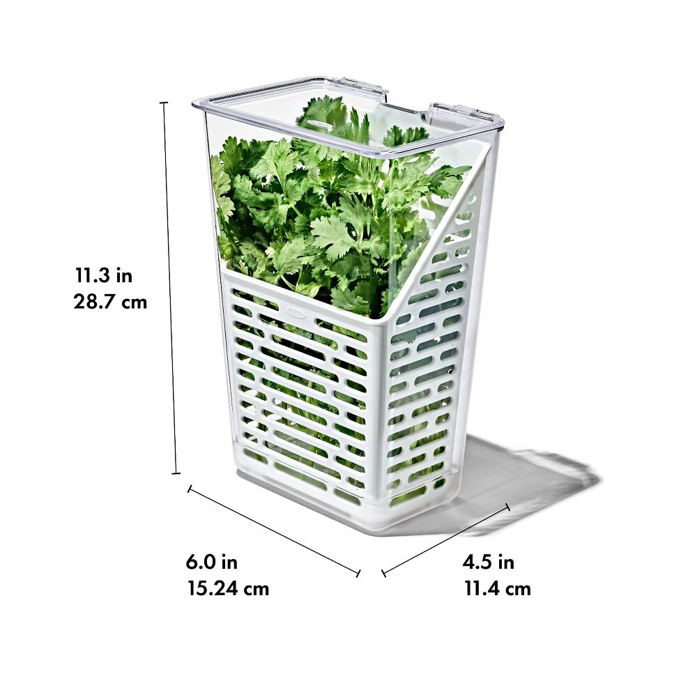 Produce Saver - Herb Keeper P6