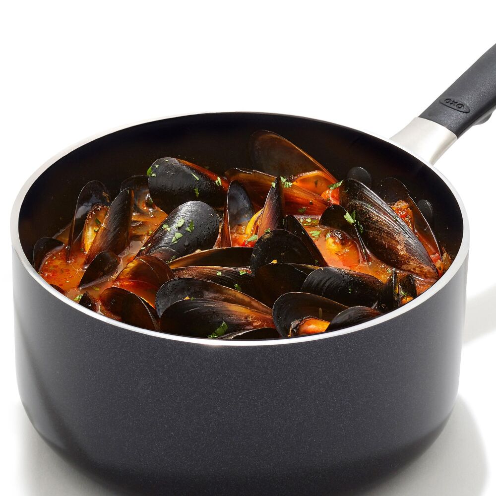 Non-Stick Pro Every Day 1.6 Qt Saucepan with Lid Q6