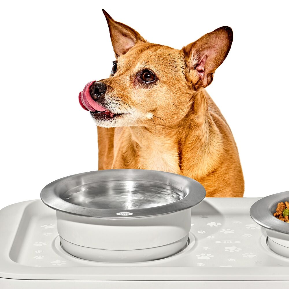 OXO Pet Nonslip Bowl - Medium, 2 Cups / 480 mL K5