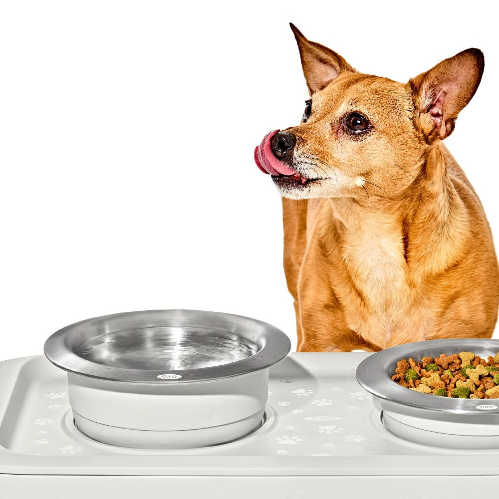 OXO Pet Nonslip Bowl - Large, 4 Cups / 950 mL Z9