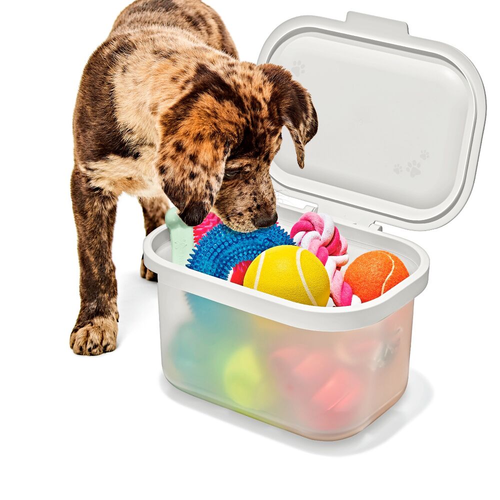 OXO Pet Multi-Purpose Container K3