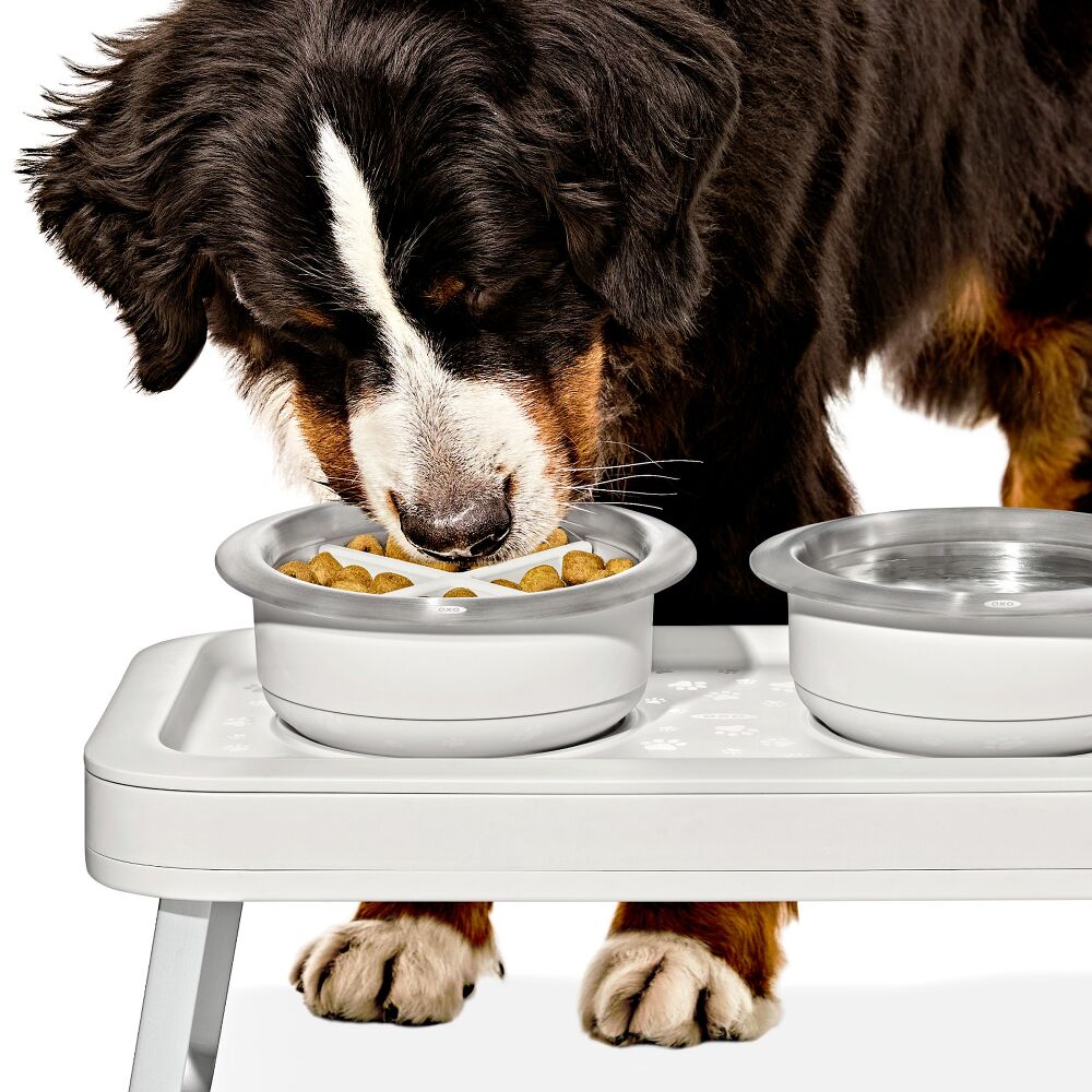 OXO Pet Easy-Clean Slow Feeder - Medium, 2 Cups/489 mL T8