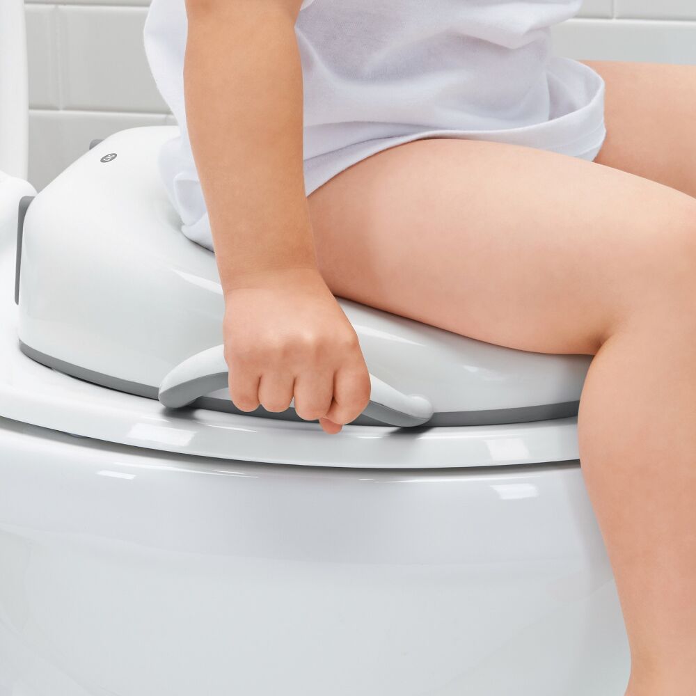 Sit Right Potty Seat - Gray D2