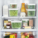GreenSaver Produce Keeper (4.3 Qt) K6