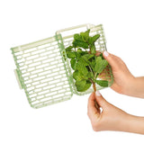 GreenSaver Herb Keeper - Small D9