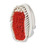 All-Purpose Scrub Brush 2-Pack G8