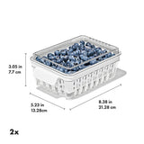 Produce Saver - Berry Keeper 2-Piece Set P2