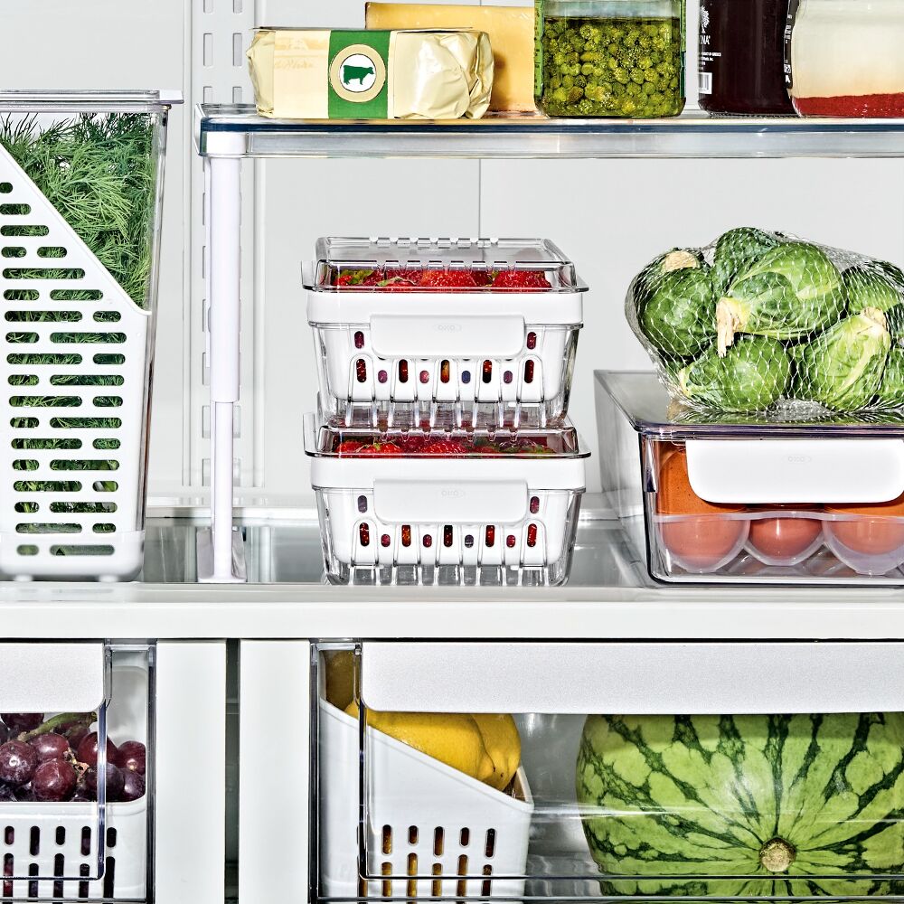 Produce Saver - Berry Keeper 2-Piece Set P2