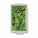 Produce Saver - Medium Bin H1