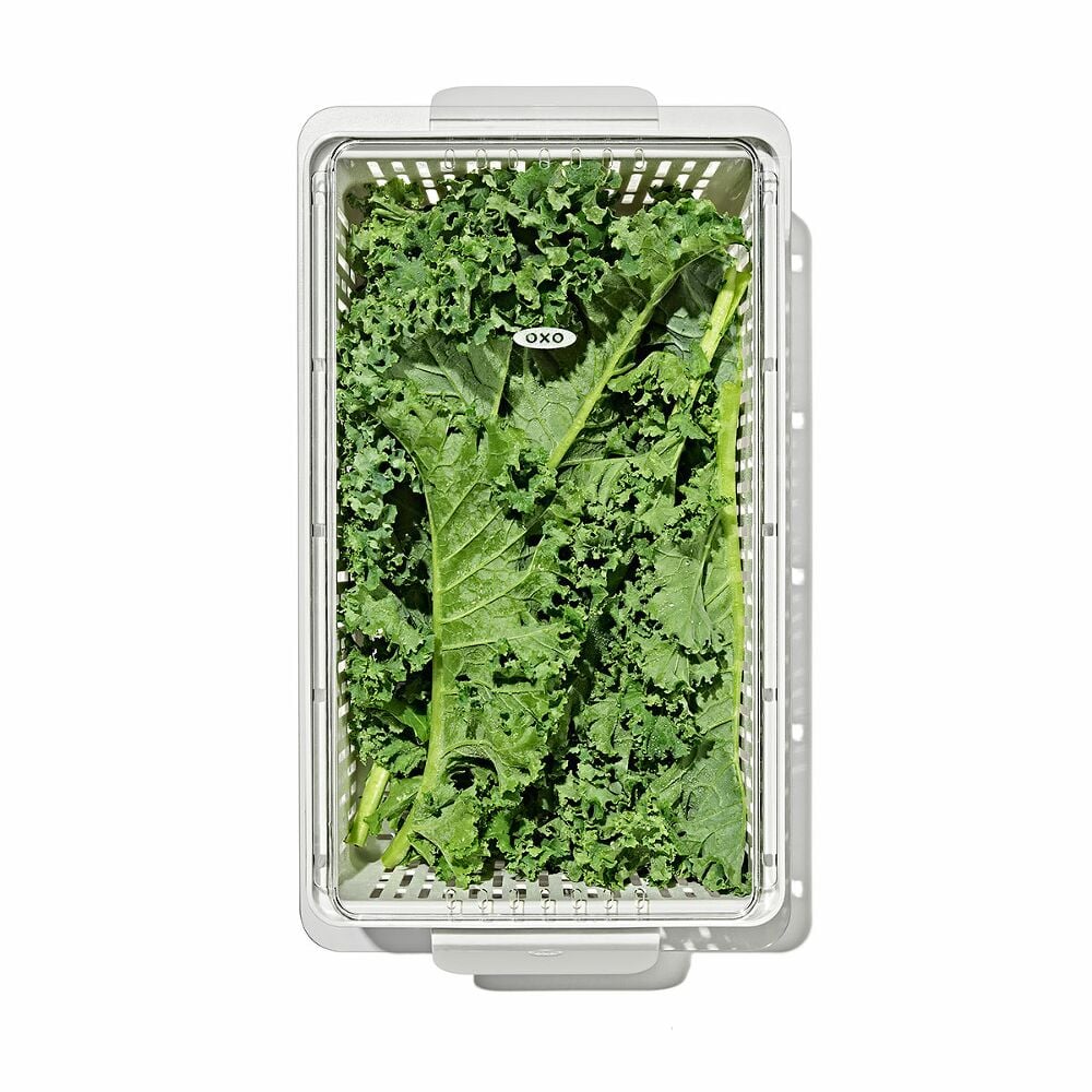 Produce Saver - Medium Bin Z9