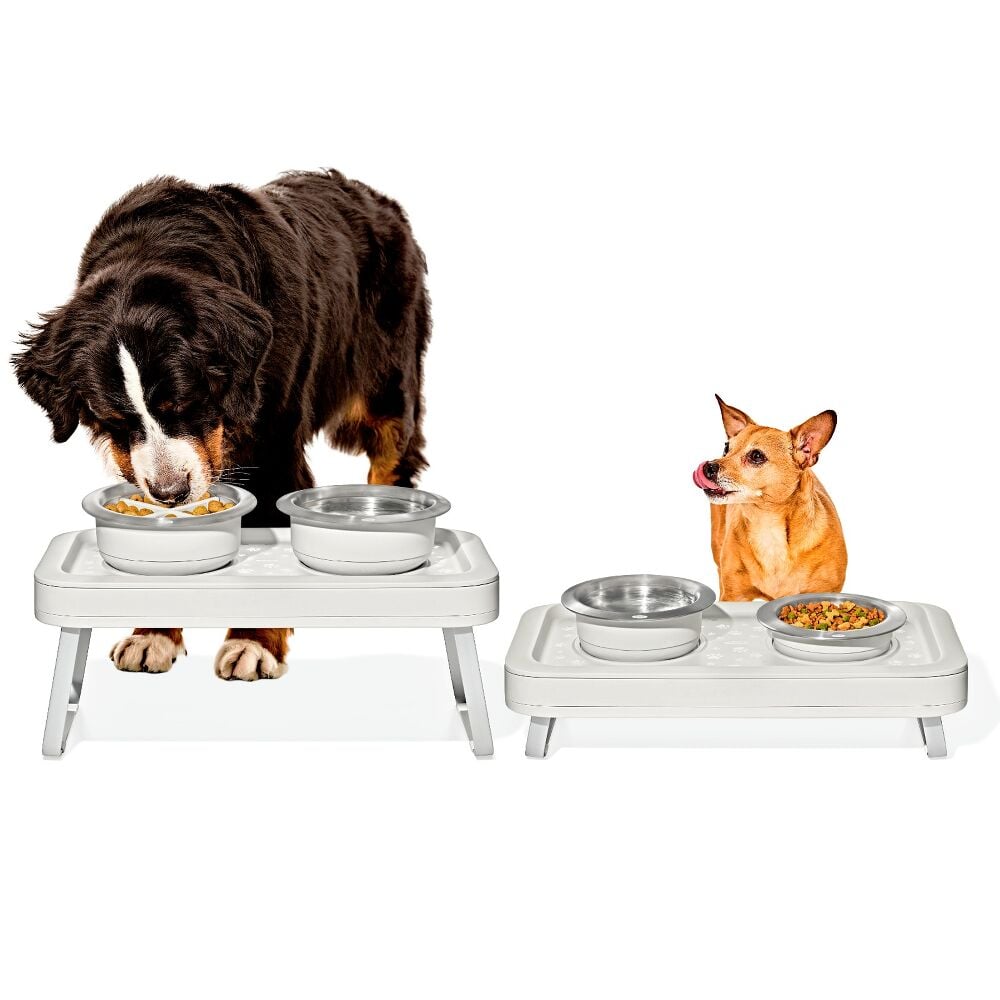 OXO Pet Adjustable Elevated Feeder U5