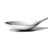 OXO Steel Serving Spoon E1