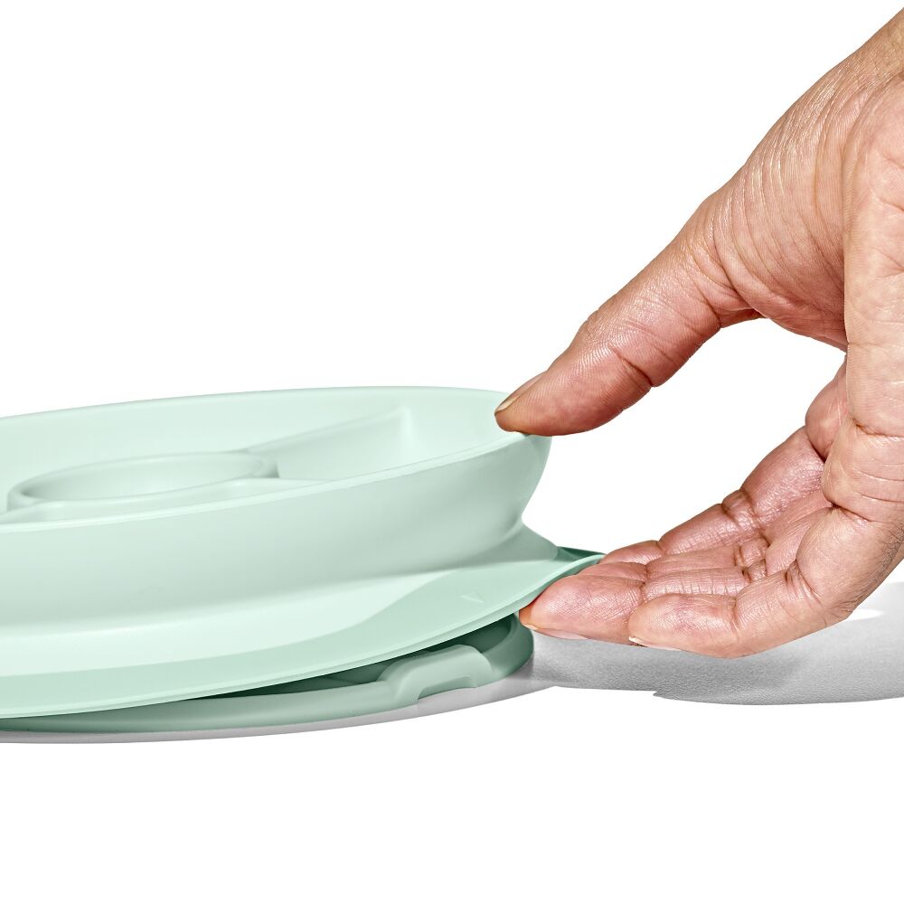 Stick & Stay Suction Divided Plate Z1