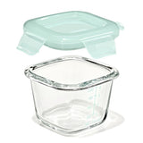 Glass Baby Blocks Food Storage Containers (4 oz) - Opal V9